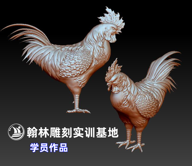 公鸡.jpg